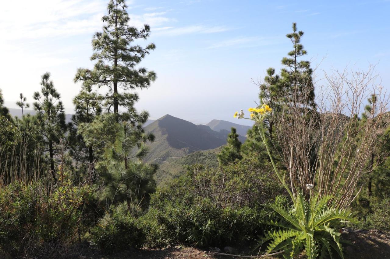 Traditional Canarian Home With Fantastic View Santiago del Teide 外观 照片